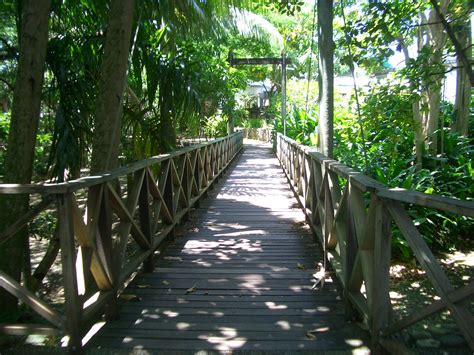 Most Beautiful Islands Fiji Islands