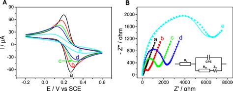 A Cyclic Voltammograms And B EIS Nyquist Plots The Insert Is The