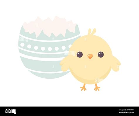 Cute Chick Standing Near A Broken Easter Egg Isolated On White