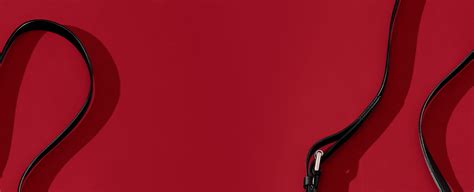 Calvin Klein® Usa Official Online Site And Store