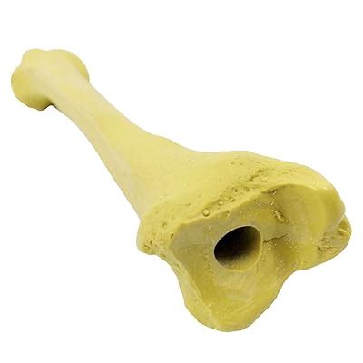 Anatomy Tibia Bone Model For Medical Teaching And Philippines Ubuy