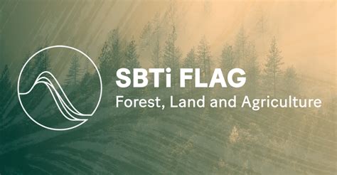 Understanding The New Sbti Flag Sector Methodology