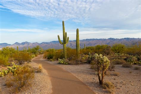 How To Deal With Arizona Heat | American Home Water & Air