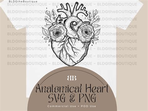 Anatomical Heart With Flowers Svg File Floral Heart Anatomy Etsy