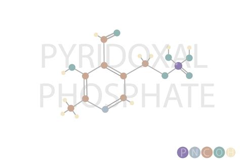 Pyridoxal Phosphate Molecular Skeletal Chemical Formula Vector