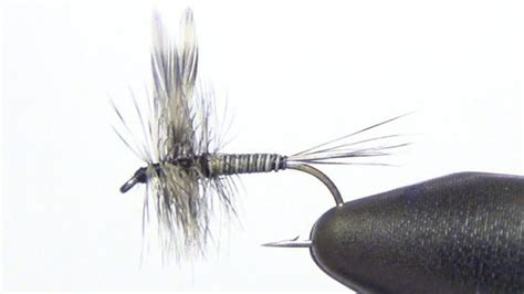 Mosquito Dry Fly Tying Instructions And How To Tie Tutorial Mikes Fly