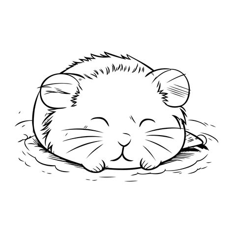 tips for hamster sleeping too much cheap 10