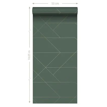 ESTAhome papier peint lignes graphiques vert foncé et or 0 53 x 10 05