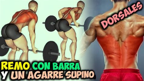 EJERCICIO Para DORSALES El REMO Con BARRA Y Un AGARRE SUPINO