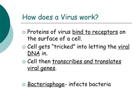 Ppt Chapter 19 Bacteria And Viruses Powerpoint Presentation Free Download Id2923815