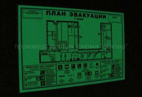 Фотолюминесцентный план эвакуации 400х600 мм купить в СПб у ...