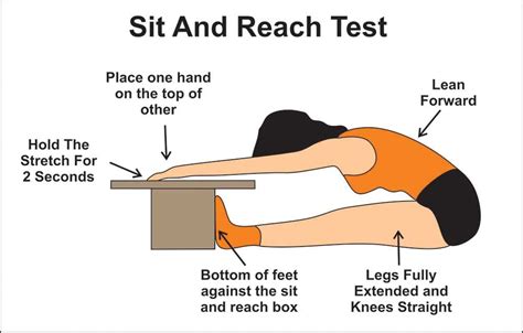 Sit And Reach Test Fitnessgram