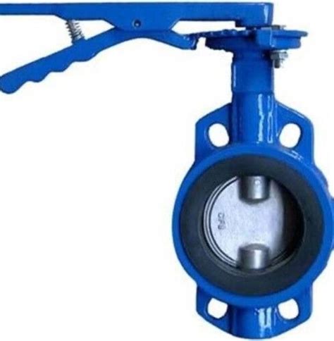 Blue Color Manual Power Source Cast Iron Butterfly Valve At Best Price