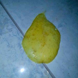 dog  vomiting  dogs vomit walkerville vet