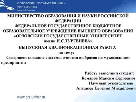 Совершенствование системы очистки выбросов на мукомольном предприятии ...