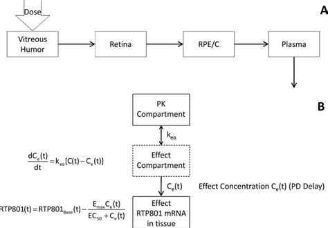 Pk Pd Relationship Of Pf Concentration And Rtp Expression