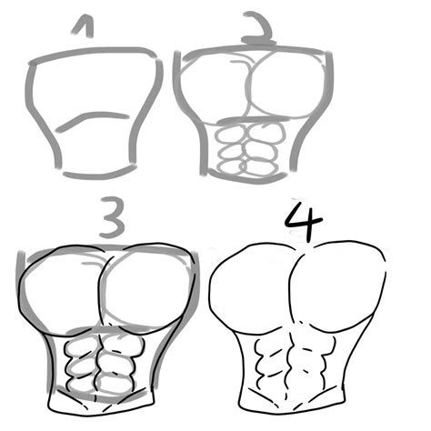 Muscle Drawing Tutorial