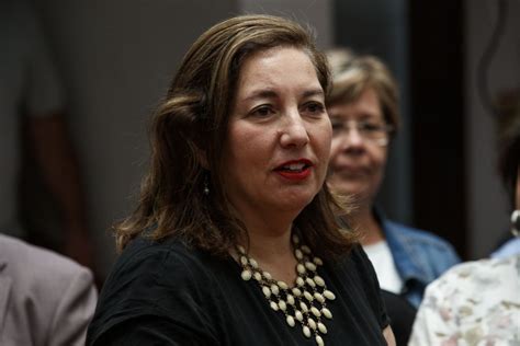 No Tenemos Que Tener Ese Temor Ni Rechazo Al Cosena Senadora