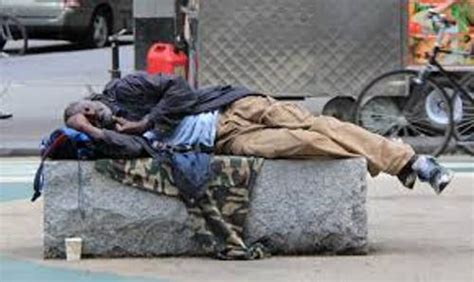 10 Facts about Bums - Fact File