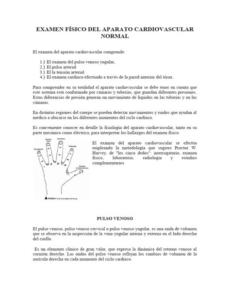 Examen Físico Del Aparato Cardiovascular Normal Pdf Corazón
