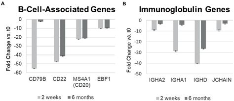 Frontiers Adaptive And Innate Immune Responses In Multiple Sclerosis