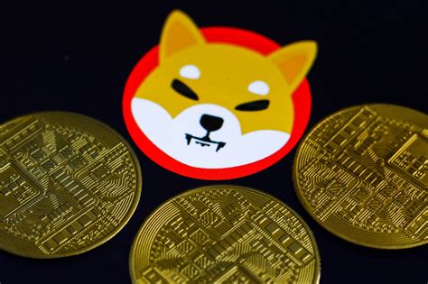 Shiba Inu Coin Latest News All You Need To Know First Republic