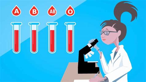 Why Do Humans Have Different Blood Groups Digit