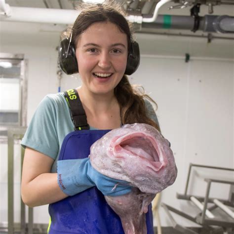 Blobfish - Blake NZ