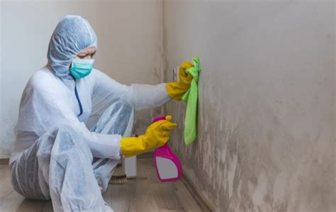 How To Clean Walls And Remove Stains And Mould Before And After