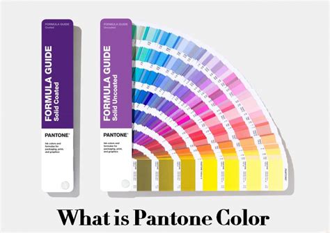 What Is Pantone Color And Pantone Matching System How To Find Pms Color