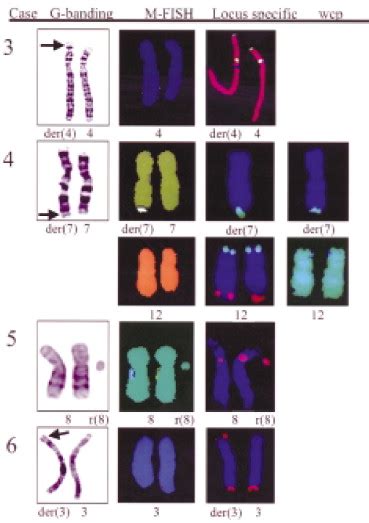 Application Of Multicolor Fluorescent In Situ Hybridization For Enhanced Characterization Of