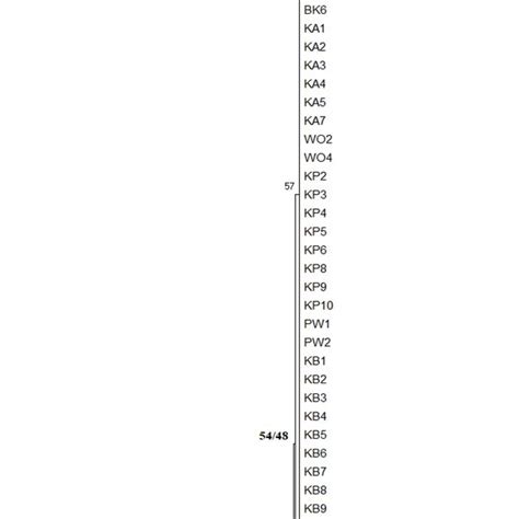 Phylogenetic tree showing monophyly between samples and their... | Download Scientific Diagram