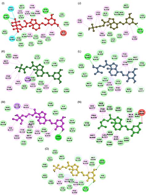 The Computational Interaction Analyses Of Some Vitamin D Related