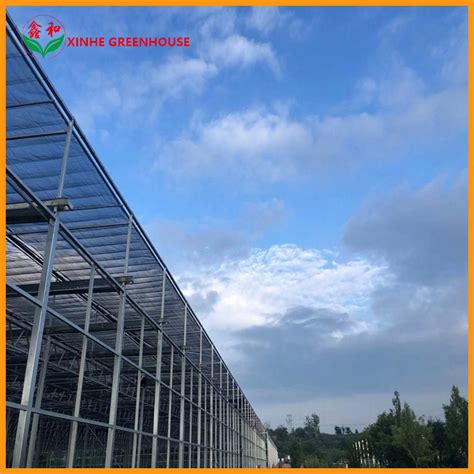 Hot Galvanized Steel Frame Greenhouse With Hydroponics System China