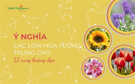 Ý nghĩa các loài hoa tượng trưng cho 12 cung hoàng đạo