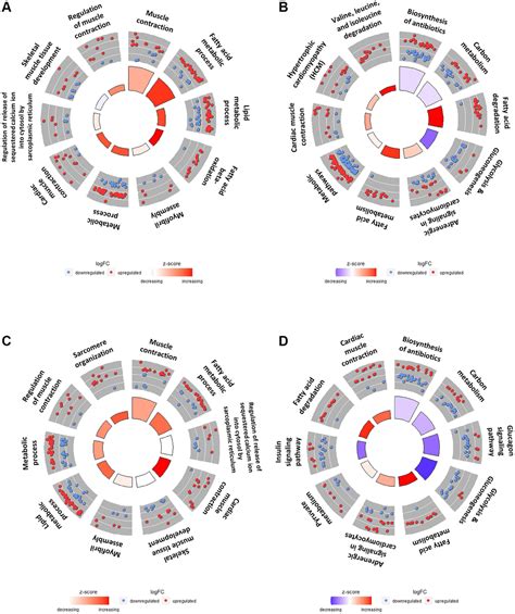 Muscle Fiber Type Dependence Effect Of Exercise On Genomic Networks In