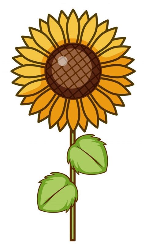 Total Imagen Girasol Dibujo Vector Abzlocal Mx