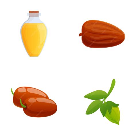 Premium Vector | Jojoba nut icons set cartoon vector Jojoba branch nut