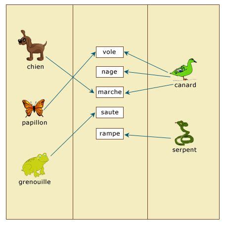 Les Animaux Se D Placent Maxicours Svt Animaux