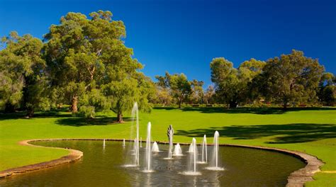 Kings Park And Botanic Garden Kings Park Attraction Au