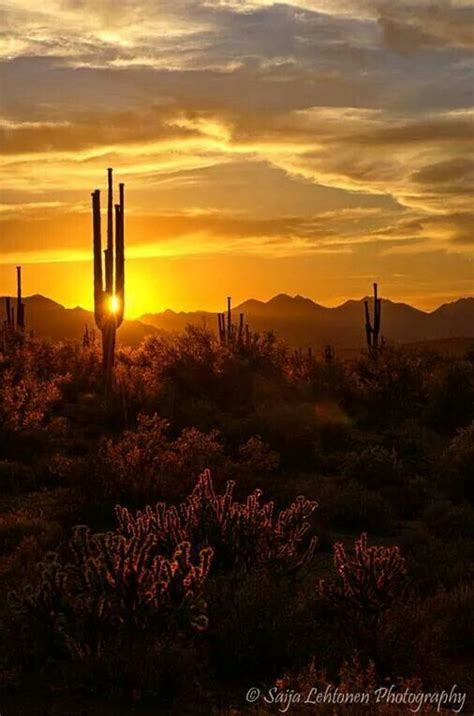 Superstition Mountains Arizona Landscape Arizona Sunrise Beautiful