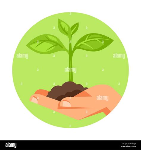 Illustration Of Human Hand Holding Green Small Plant Stock Vector Image