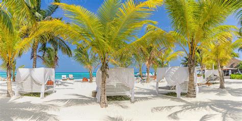 Outside Lounging Scenic Canopy And Chairs Relax Vacation Beach Bar