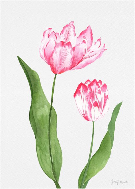 Pink Parrot Tulip Artprint Vivia Print