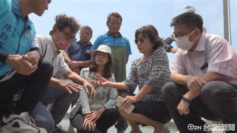 台西 口湖文蛤死亡慘重 損失已近千公頃 鑫傳國際多媒體科技股份有限公司 Tdn台灣生活新聞