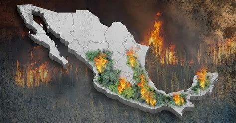 En Tiempo Real Incendios Forestales Encienden La Alerta En Una Veintena De Estados En Plena Ola