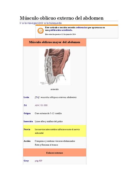 Músculo Oblicuo Externo Del Abdomen Pdf Anatomía Anatomía Humana