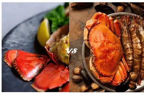 Lobster vs Crab Taste: Do They Taste Similar or Different? - Chef Tastes