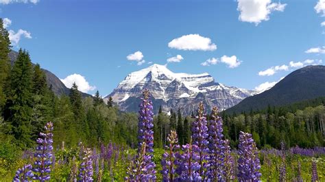 Visitar Mount Robson Provincial Park Mount Robson Provincial Park