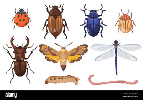 Colorful Different Insects Worms And Bugs Flat Set For Web Design